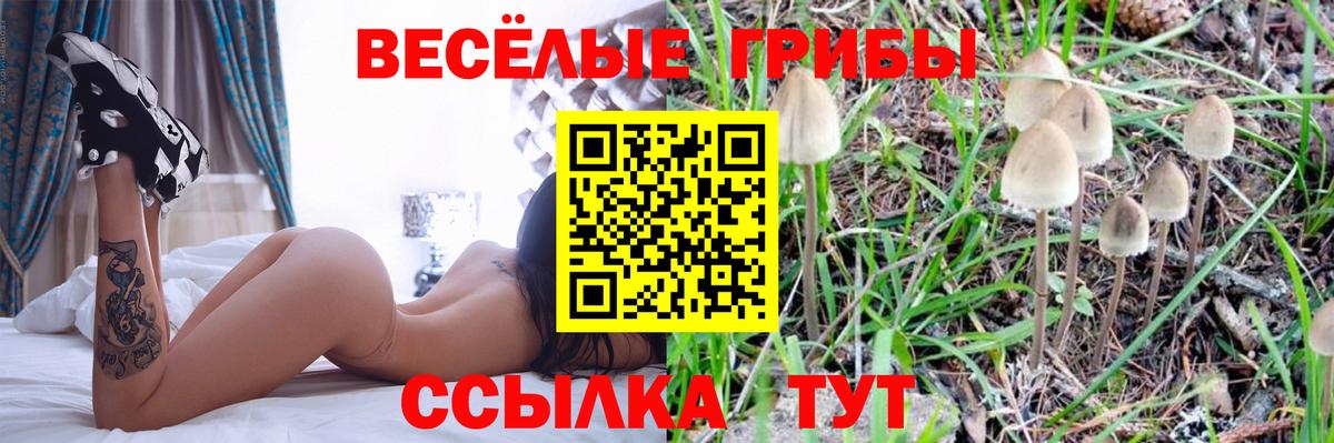 Галлюциногенные грибы Magic Shrooms Сунжа
