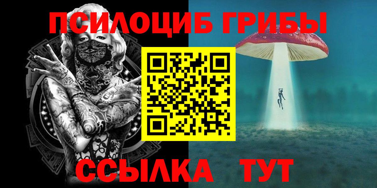 Сунжа  Псилоцибиновые грибы мицелий  Псилоцибиновые грибы прущие грибы  как найти наркотики  Вход с VPN 